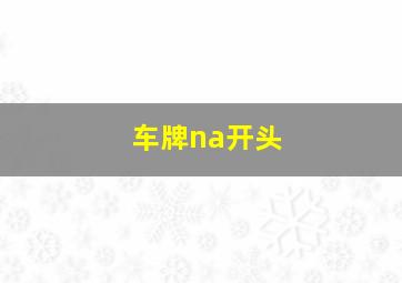 车牌na开头