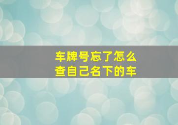 车牌号忘了怎么查自己名下的车