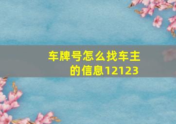 车牌号怎么找车主的信息12123