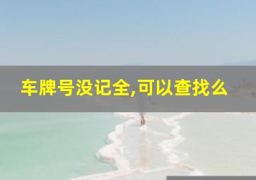 车牌号没记全,可以查找么