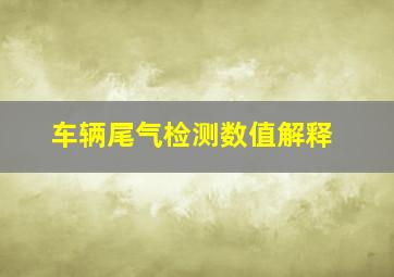 车辆尾气检测数值解释