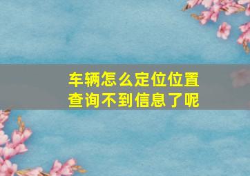 车辆怎么定位位置查询不到信息了呢