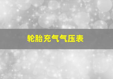 轮胎充气气压表