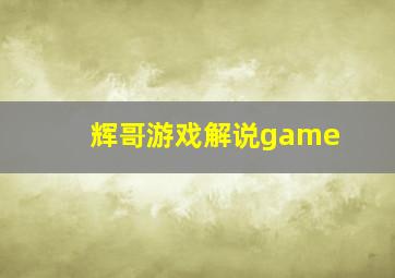 辉哥游戏解说game