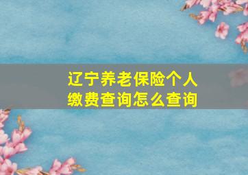 辽宁养老保险个人缴费查询怎么查询