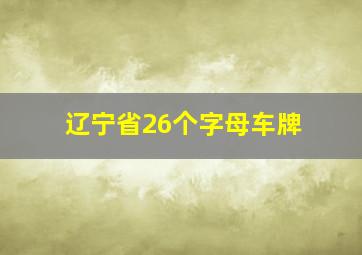 辽宁省26个字母车牌