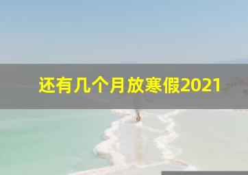 还有几个月放寒假2021