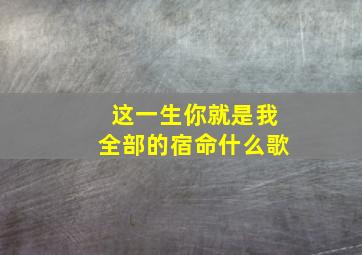 这一生你就是我全部的宿命什么歌