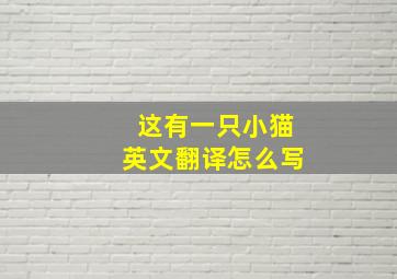 这有一只小猫英文翻译怎么写