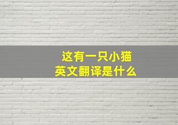 这有一只小猫英文翻译是什么