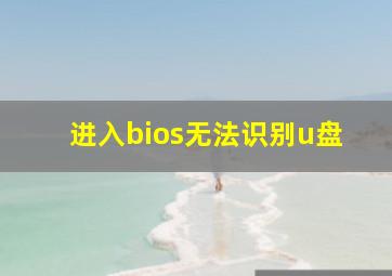 进入bios无法识别u盘