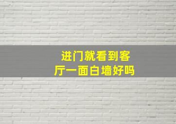 进门就看到客厅一面白墙好吗