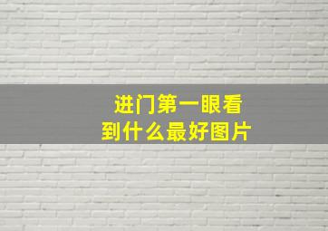 进门第一眼看到什么最好图片