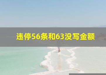 违停56条和63没写金额