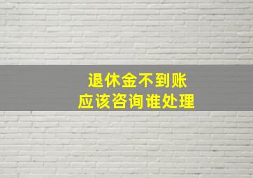 退休金不到账应该咨询谁处理