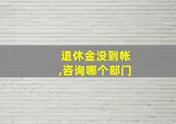 退休金没到帐,咨询哪个部门