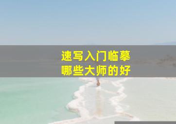 速写入门临摹哪些大师的好