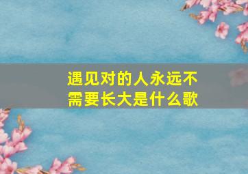 遇见对的人永远不需要长大是什么歌