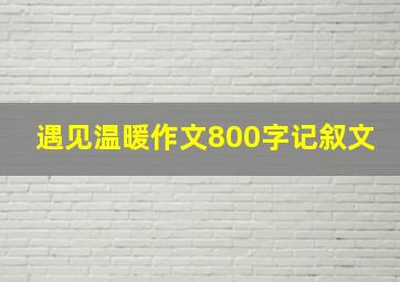 遇见温暖作文800字记叙文