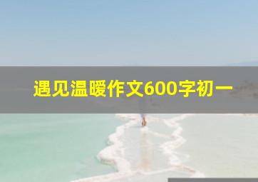 遇见温暧作文600字初一