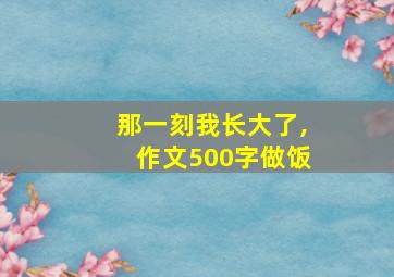 那一刻我长大了,作文500字做饭