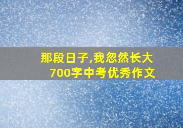 那段日子,我忽然长大700字中考优秀作文