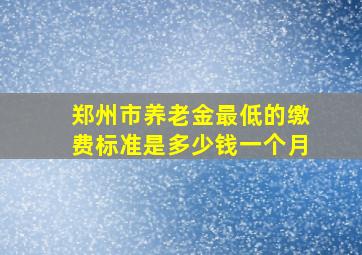 郑州市养老金最低的缴费标准是多少钱一个月