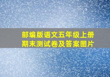 部编版语文五年级上册期末测试卷及答案图片