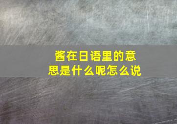 酱在日语里的意思是什么呢怎么说