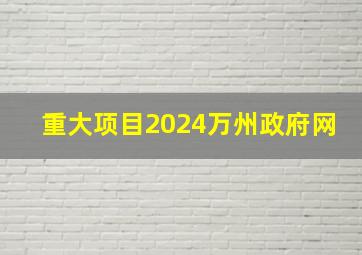 重大项目2024万州政府网