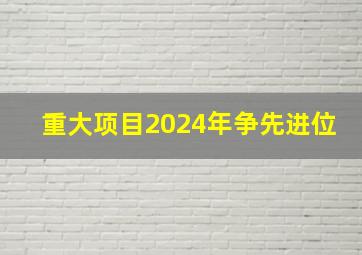 重大项目2024年争先进位