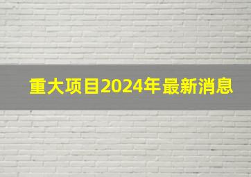 重大项目2024年最新消息