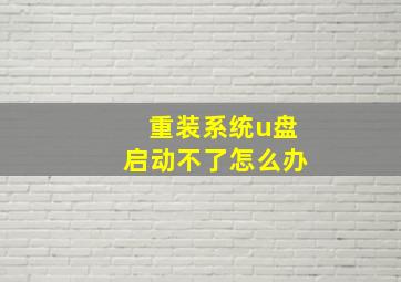 重装系统u盘启动不了怎么办