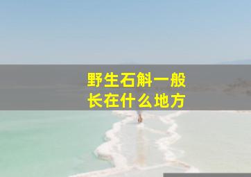 野生石斛一般长在什么地方