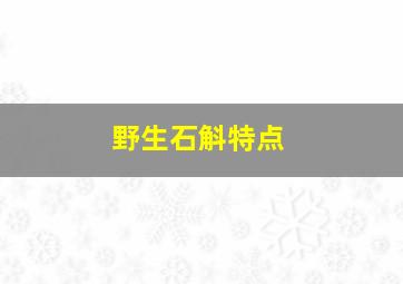 野生石斛特点