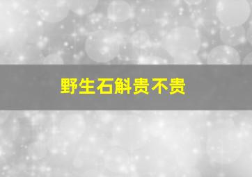 野生石斛贵不贵