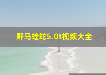 野马蝰蛇5.0t视频大全