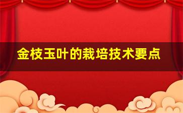 金枝玉叶的栽培技术要点