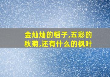 金灿灿的稻子,五彩的秋菊,还有什么的枫叶