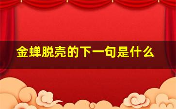 金蝉脱壳的下一句是什么