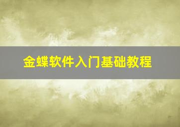 金蝶软件入门基础教程