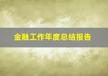 金融工作年度总结报告