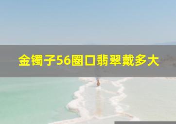 金镯子56圈口翡翠戴多大