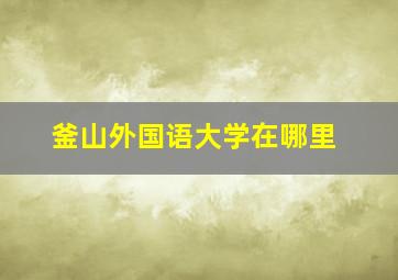 釜山外国语大学在哪里