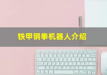 铁甲钢拳机器人介绍