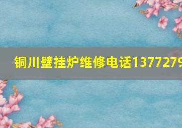 铜川壁挂炉维修电话1377279