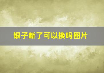 银子断了可以换吗图片