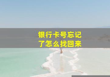 银行卡号忘记了怎么找回来