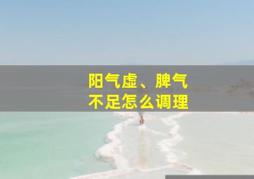 阳气虚、脾气不足怎么调理