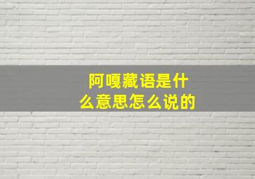 阿嘎藏语是什么意思怎么说的